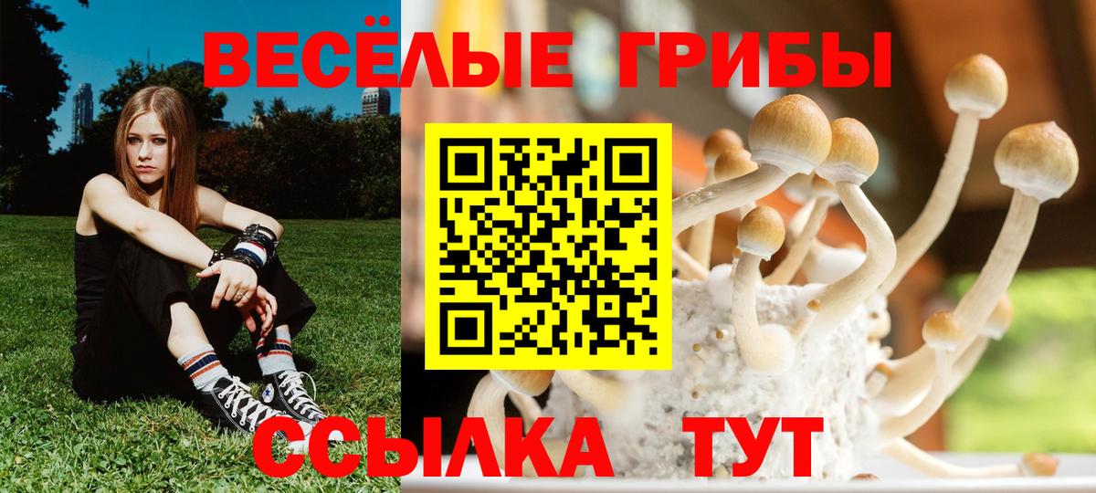 Псилоцибиновые грибы Magic Shrooms Ессентуки